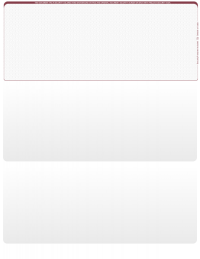 Wall Street Blank Top Laser Checks