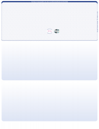 Blue Safety Blank Hologram Top Laser Checks