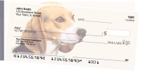 Beagles Side Tear Personal Checks