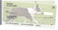 Boston Terrier Side Tear Personal Checks