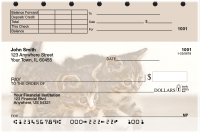Cute Kittens Top Stub Personal Checks