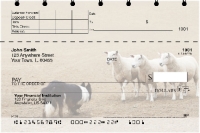 Border Collie at Work Top Stub Personal Checks