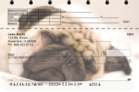 Sleepy Pugs Top Stub Personal Checks